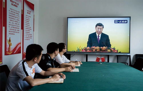 “庆党建 迎回归”长春市春之翼志愿者协会功能型党支部开展主题党日活动