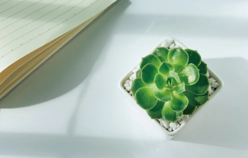 心灵医声 | 用正念安顿您的情绪，改变从觉察开始